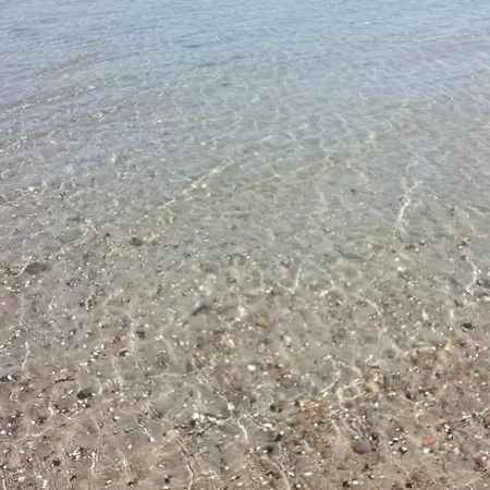 Blue A'mare * Lavagna