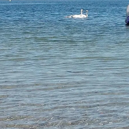 Apartment Blue A'mare