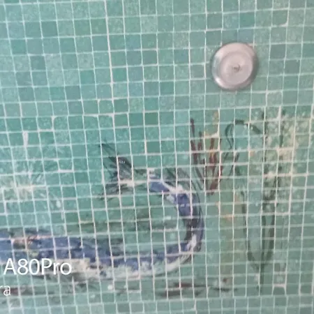 Apartament Blue A'mare